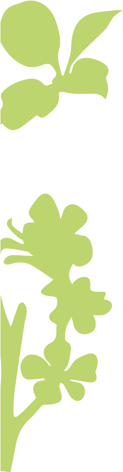 Flower - Flower (245x1267)