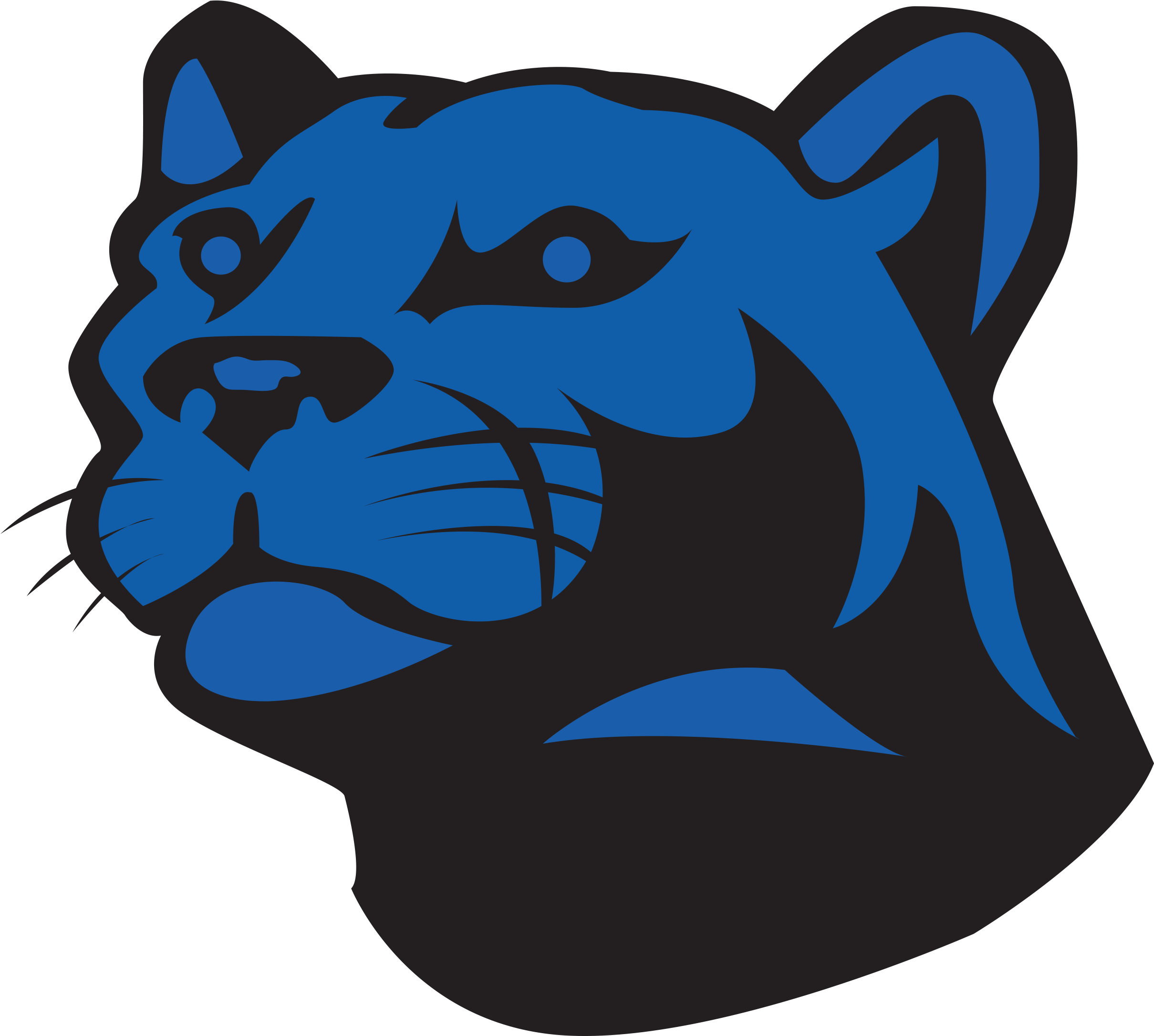 About Us - Carolina Panthers (2450x2450)