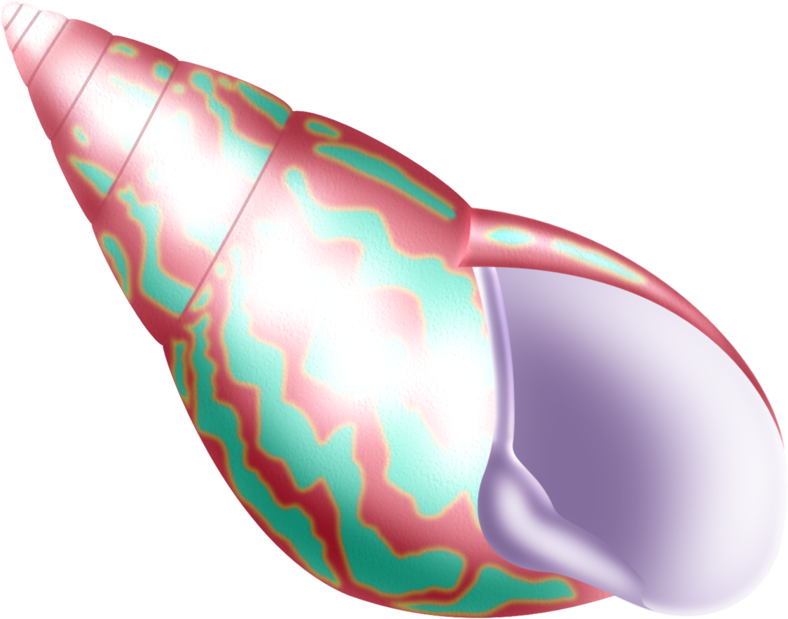 Fundo Do Mar - Seashell (1280x1024)