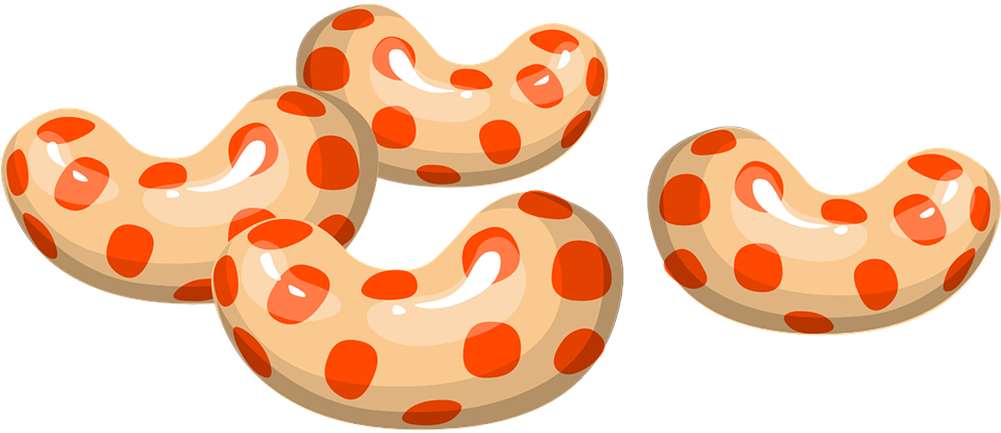 Candy Clip Art - Candy Clip Art (1000x500)