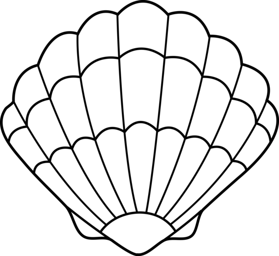 Clipart Best - Seashell Template Free Printable (550x504)