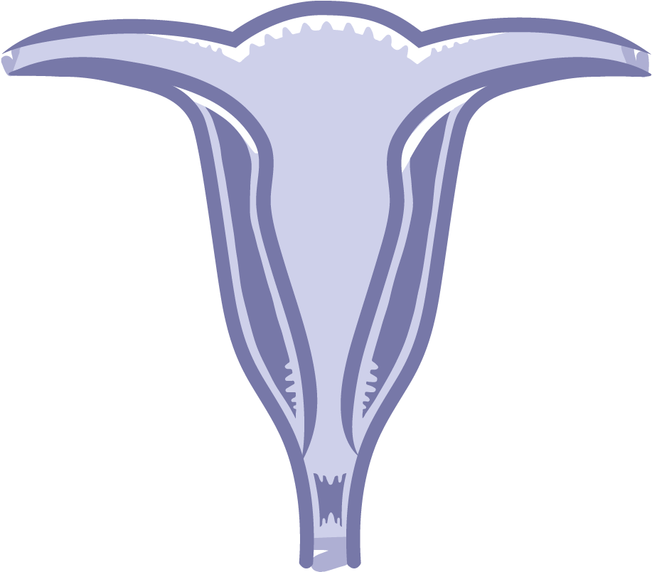 Emblem (960x960)