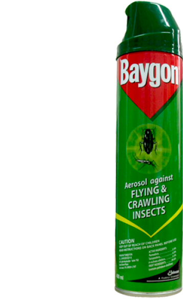Baygon 300ml (600x600)