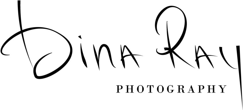 Photography (1000x451)
