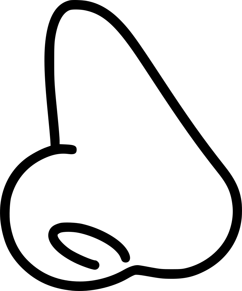 Png File - Anatomy (816x980)