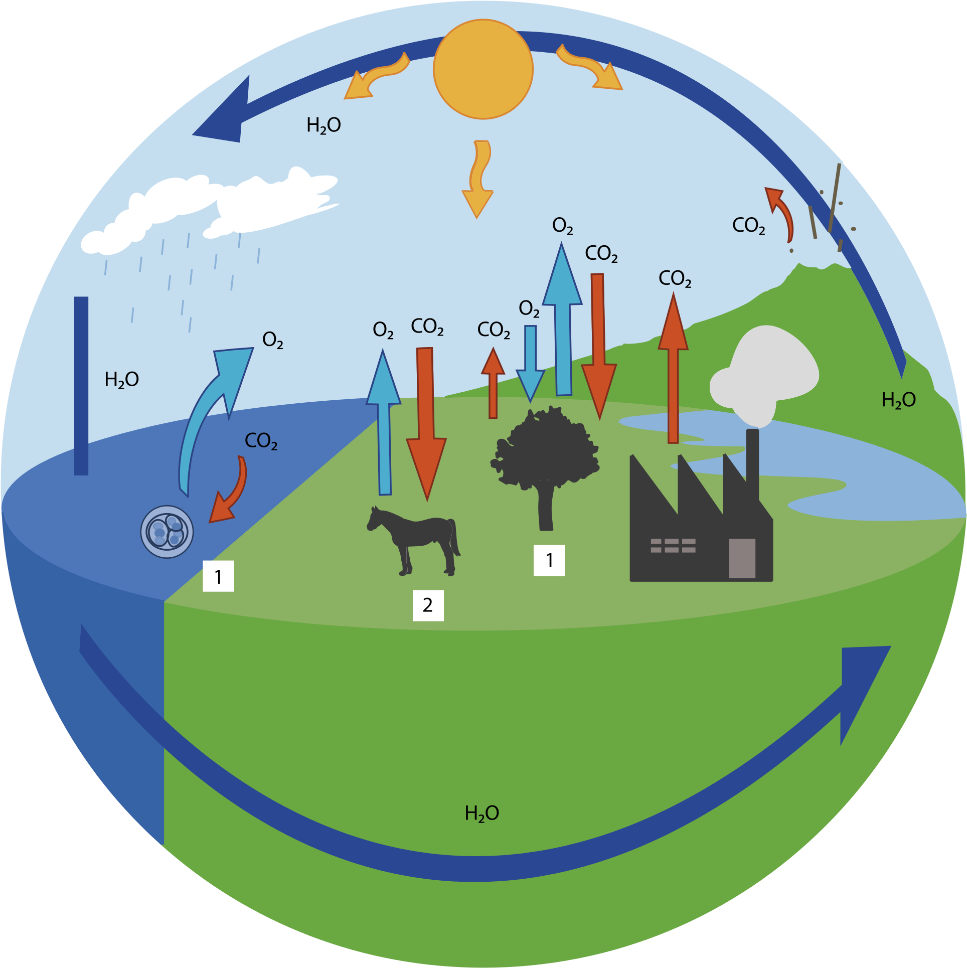 Open - Ciclo Del Co2 (2000x2004)