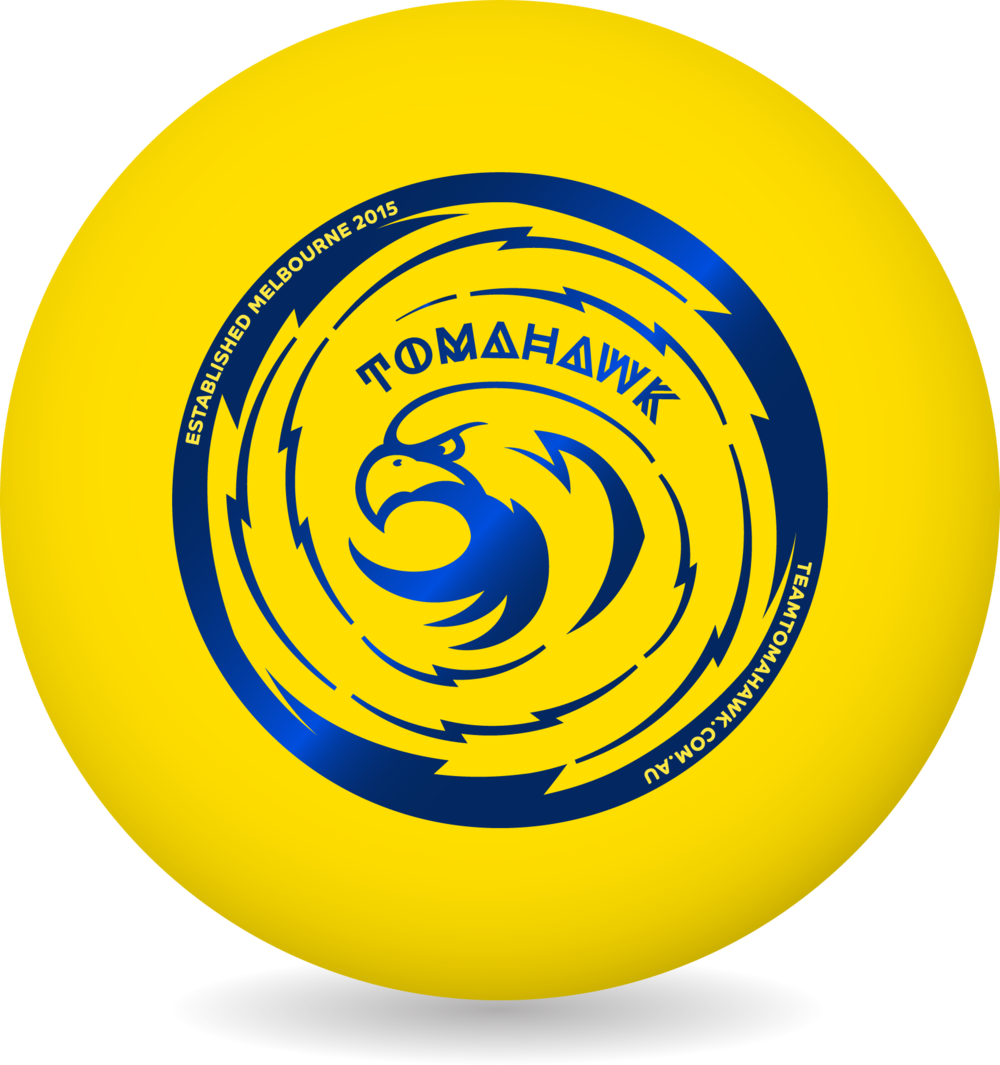 Frisbee Png - Circle (1000x1065)