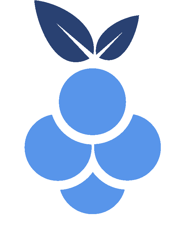 Blue Raspberry Logo (736x736)