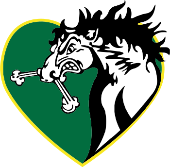 Humboldt Broncos (350x344)