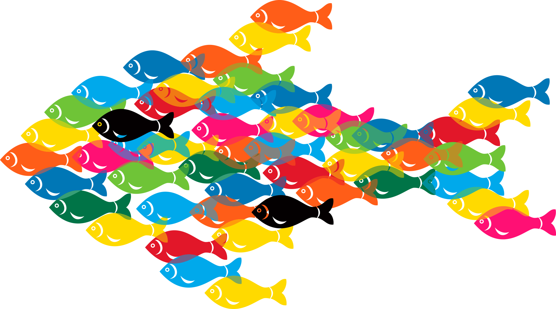Microsoft Powerpoint Template Microsoft Word Portable - Fish (1915x1067)