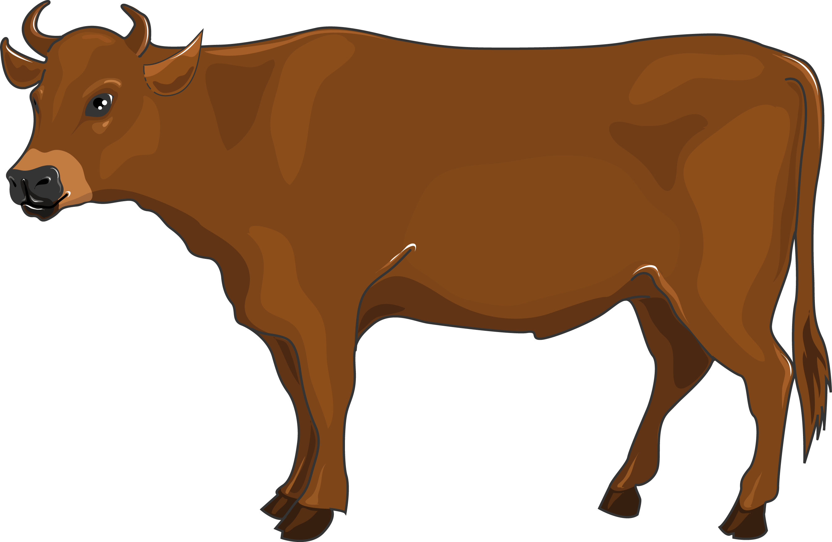 Boeuf - Boeuf Clipart (2670x1740)