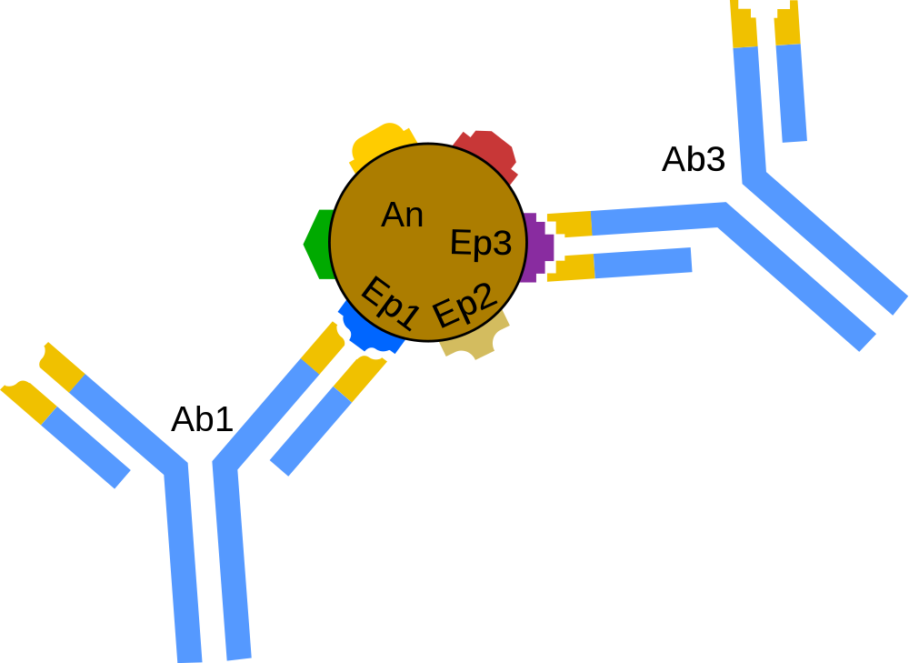 Immunology - Antiges Epitopes (1000x729)