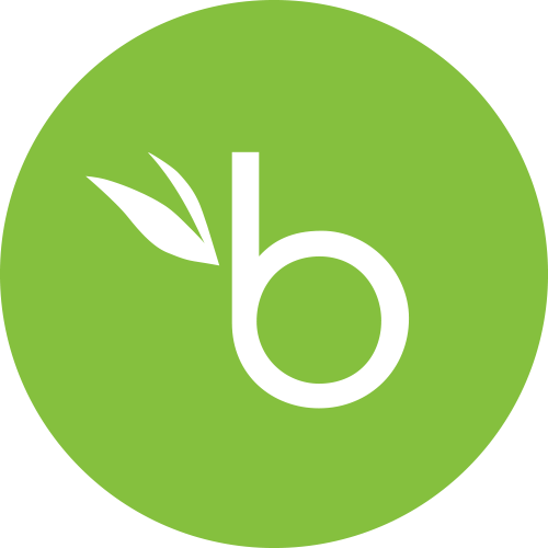 Bamboohr - Bamboo Hr (500x500)