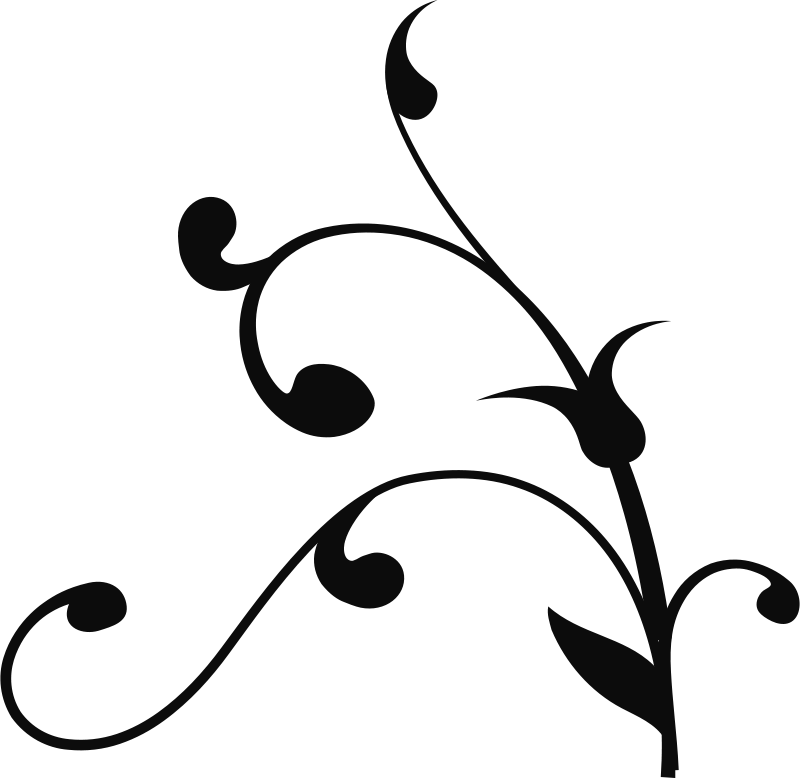 Brick, Bricks, White - Tree Branch Clip Art (800x778)
