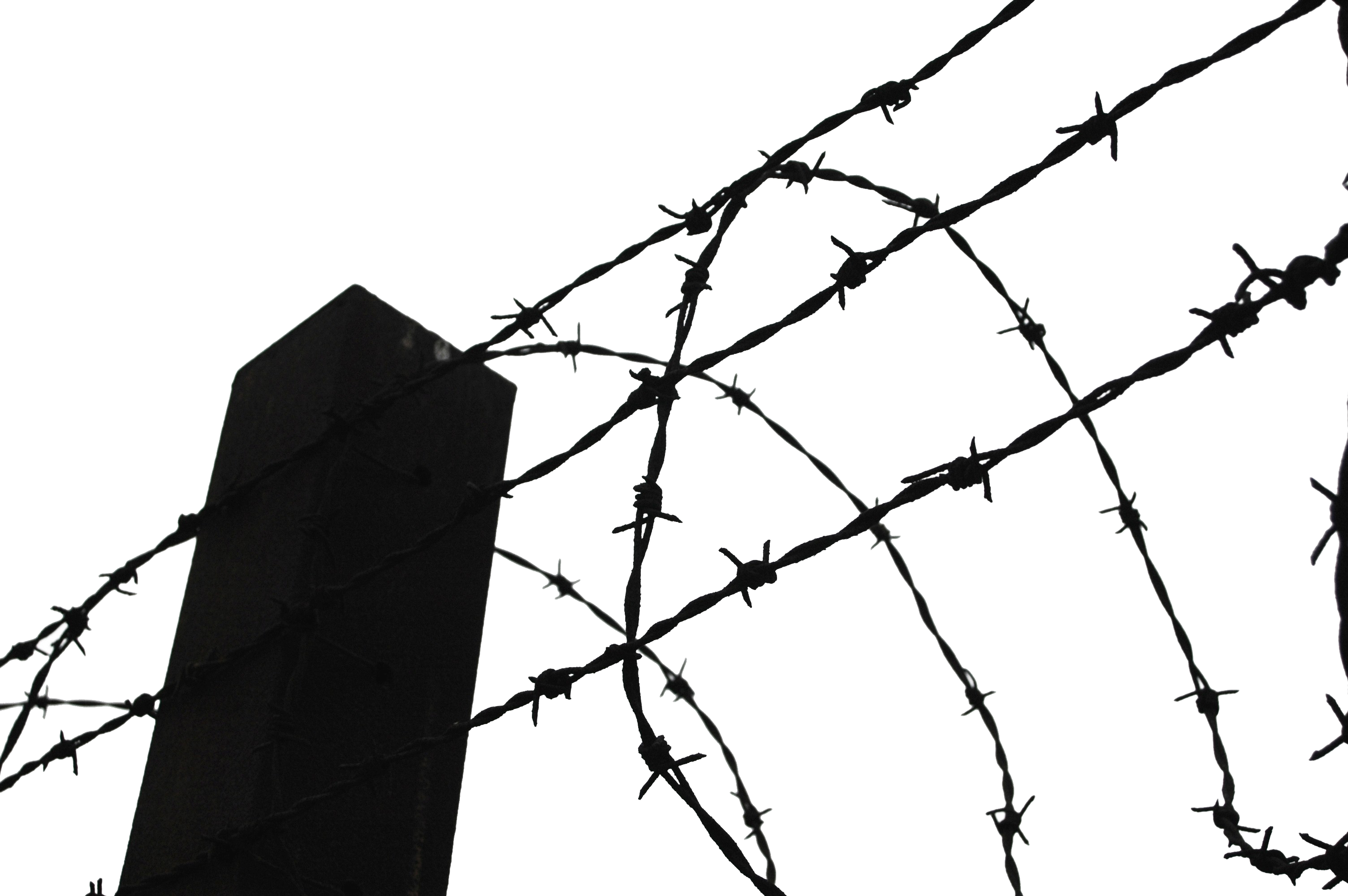 Barbed Wire For Prison (3008x2000)