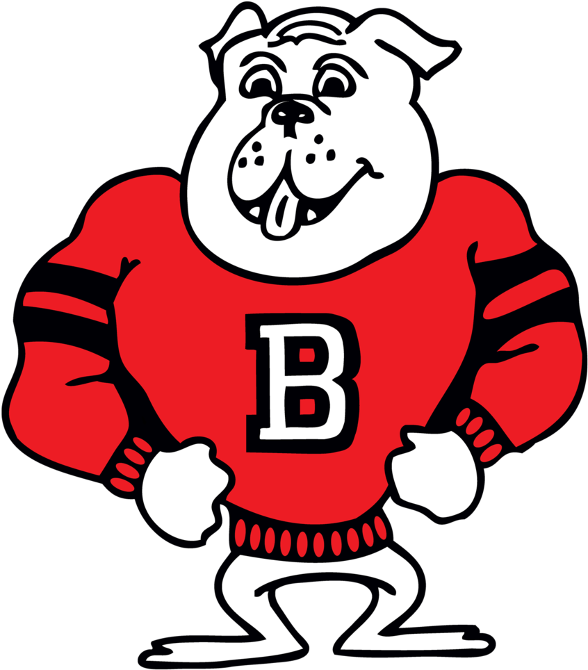   Bulldog (1000x1000)