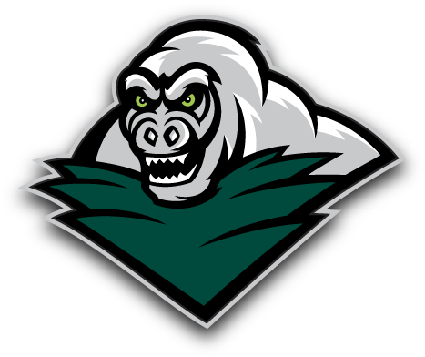 Miami Valley Silverbacks - Dayton Silverbacks (600x450)