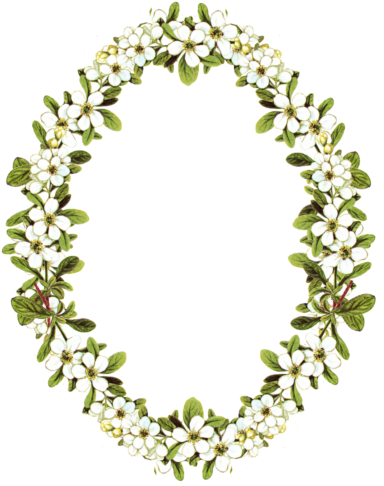 Borders And Frames Flower Picture Frames Clip Art - Oval Flower Frame (1255x1600)