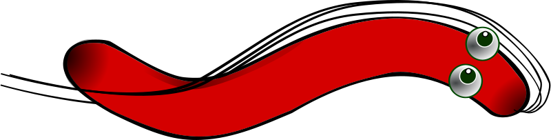 Helicobacter (800x203)