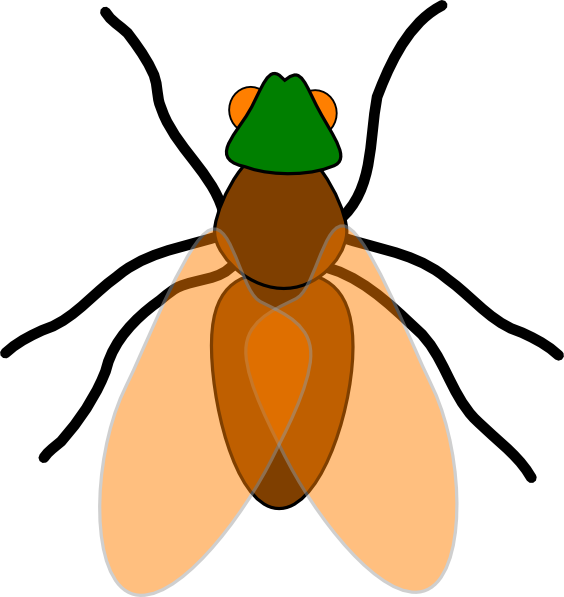 Fly Clip Art (564x597)