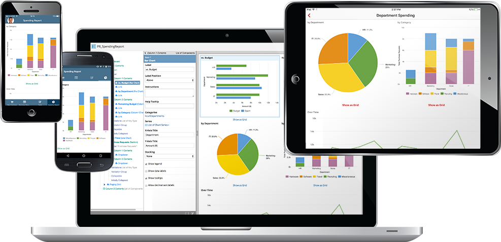 Build Native Mobile Apps Fast - Appian Reports (993x550)
