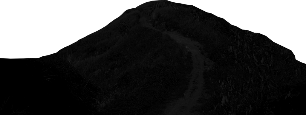 Monochrome (1024x386)