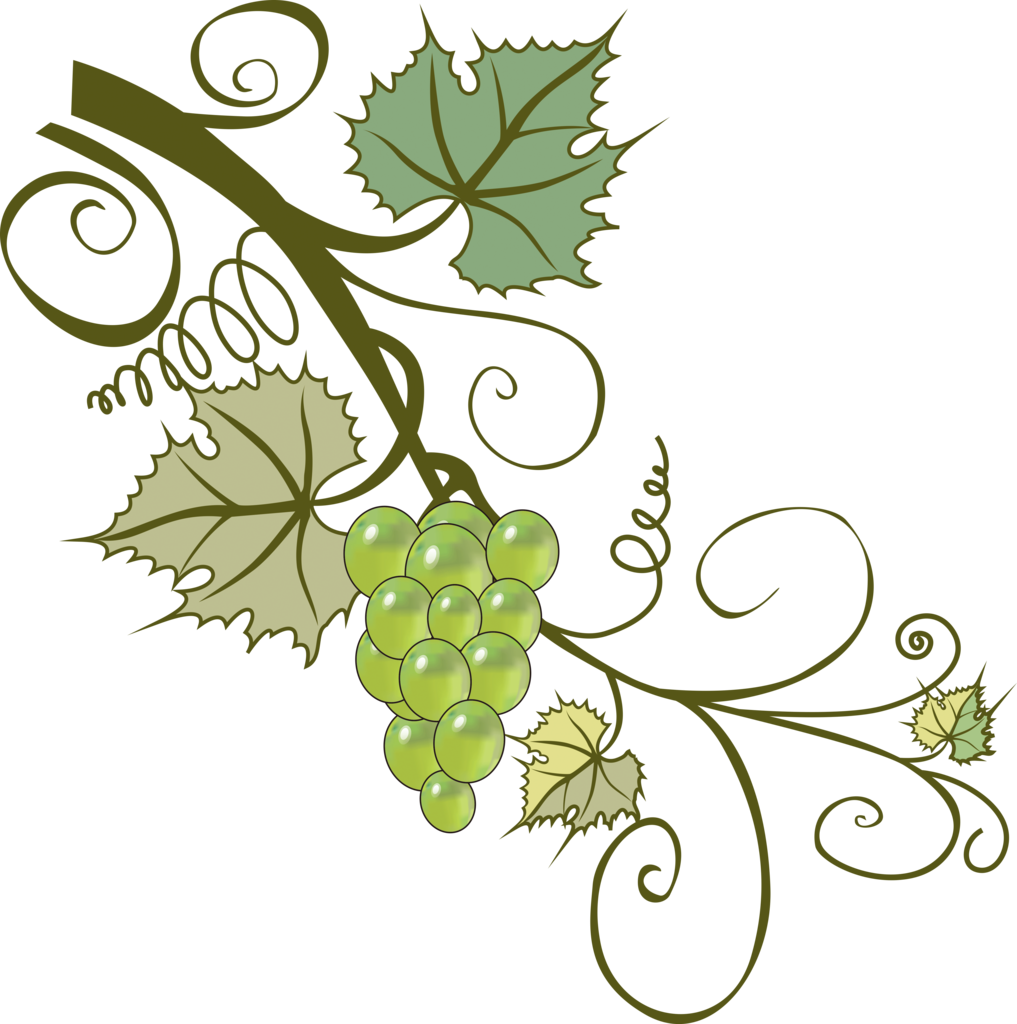Grapevines Branch Leaf Clip Art - 葡萄 藤 (1017x1024)