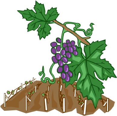 Weinreben Clipart (389x392)