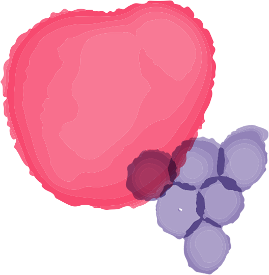 Nutrition - Nutrition (600x600)