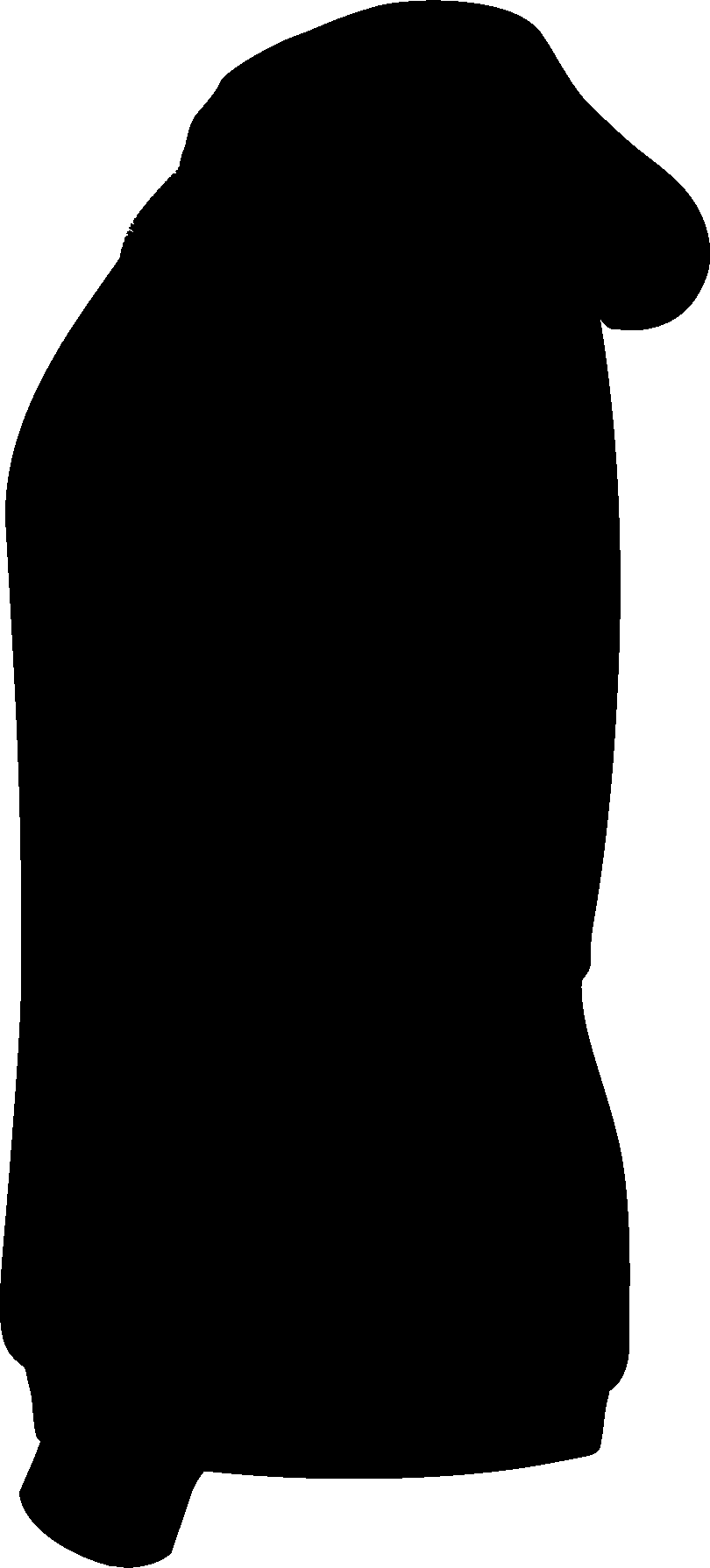 Silhouette (810x1790)
