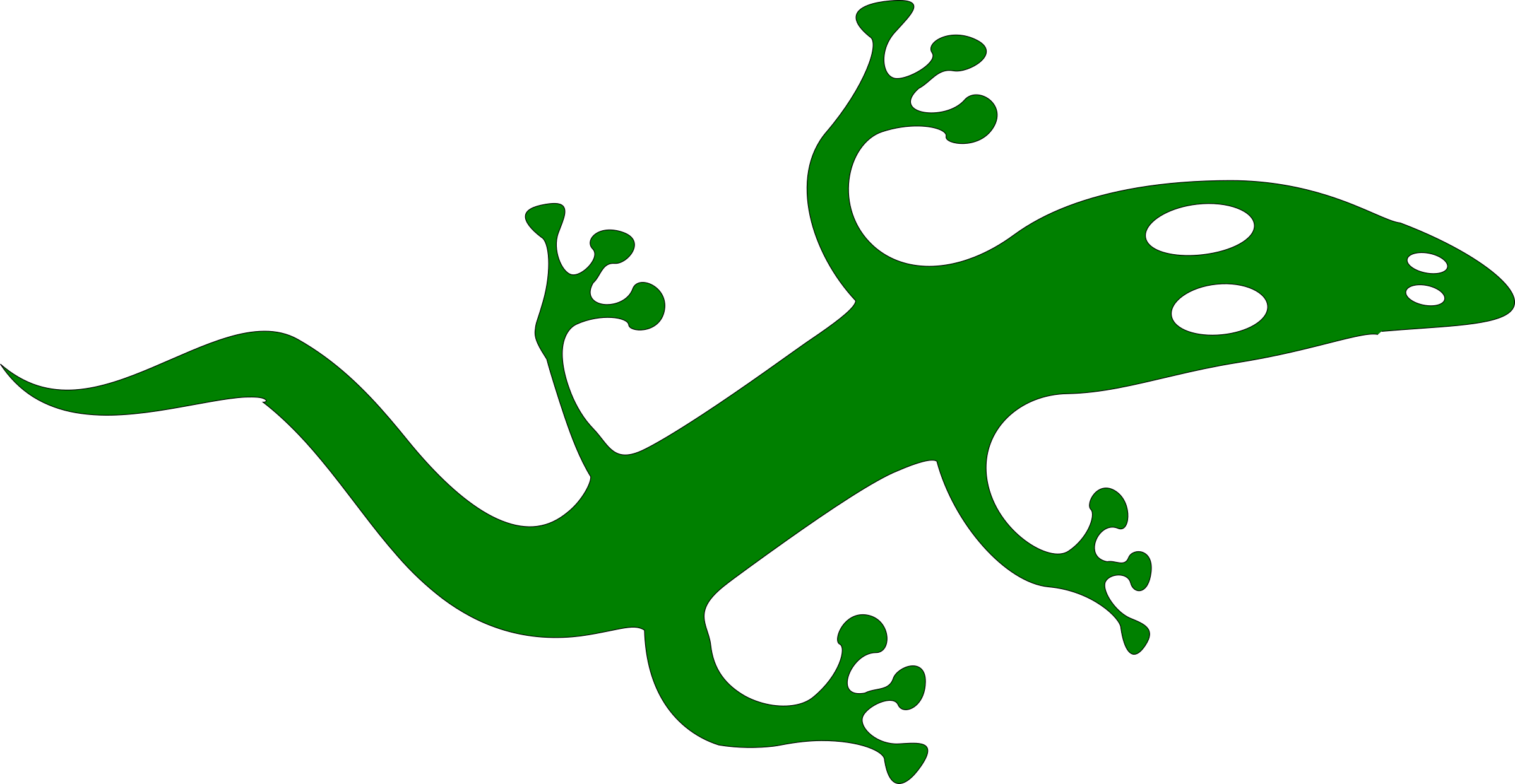 Big Image - Custom Gecko Shower Curtain (2400x1243)