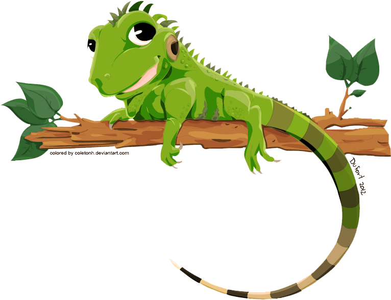 Iguana Png Transparent Image - Iguana Vector (774x596)