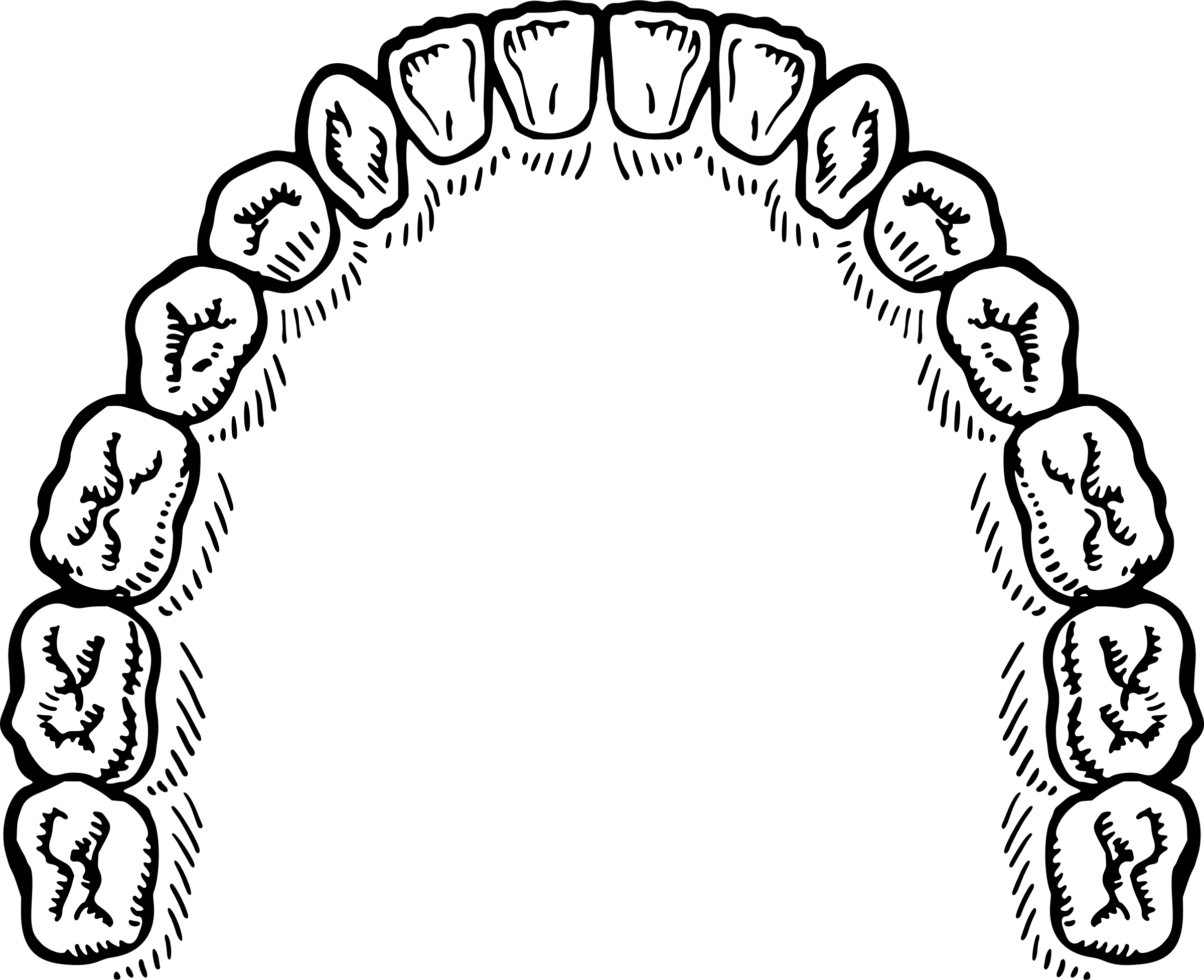 Teeth Png - Teeth Vector Free (2400x1954)