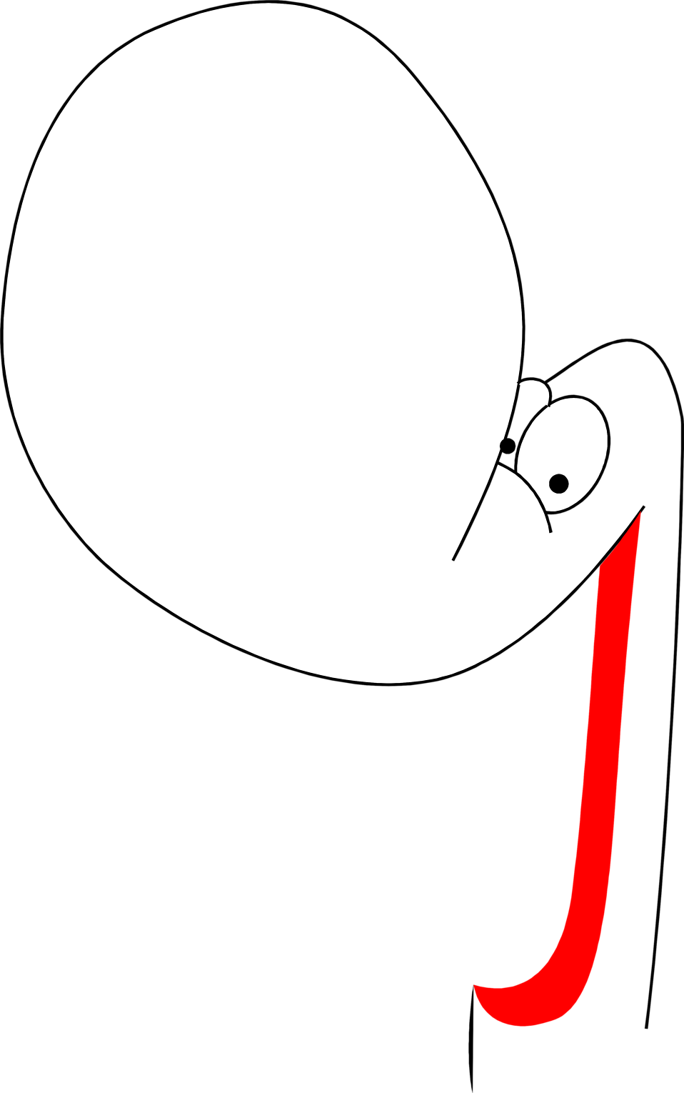 Illustration - Illustration (958x1530)