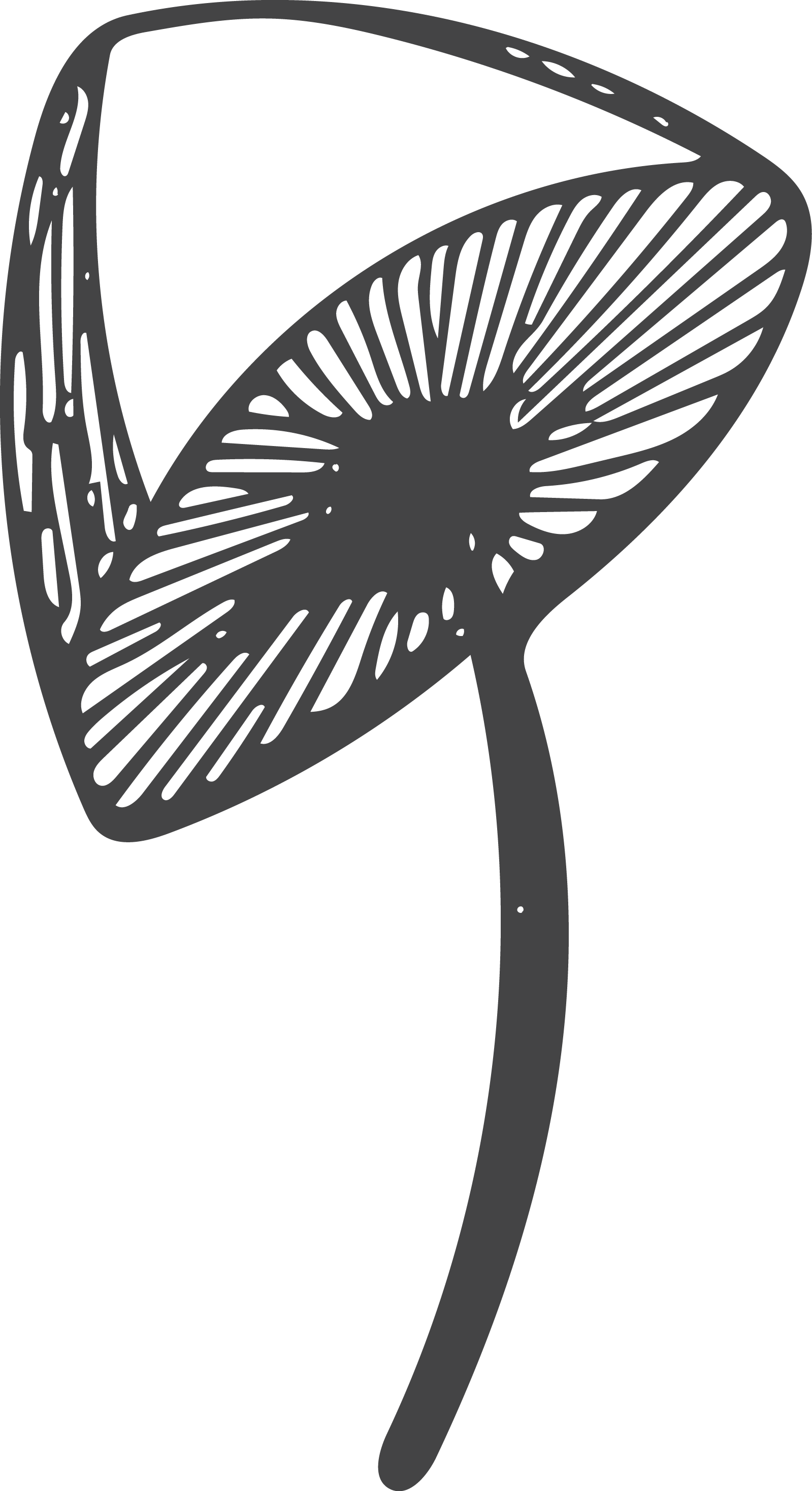 Mushroom Euclidean Vector Computer File - Mushroom Euclidean Vector Computer File (1599x2935)