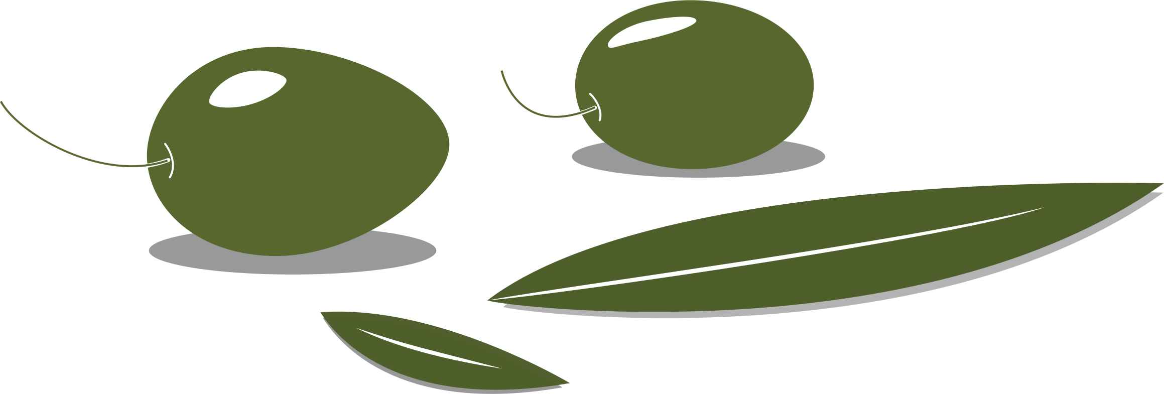 Olives & Leaves - Portable Network Graphics (2319x785)