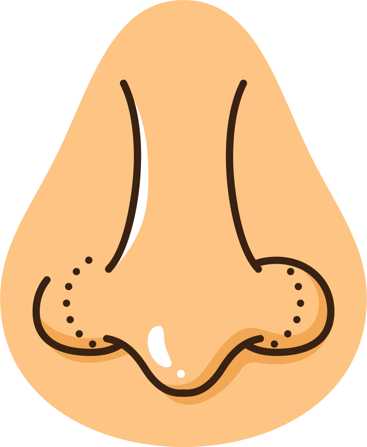 Nose Plastic Surgery Face Euclidean Vector - Nose Plastic Surgery Face Euclidean Vector (1262x1538)