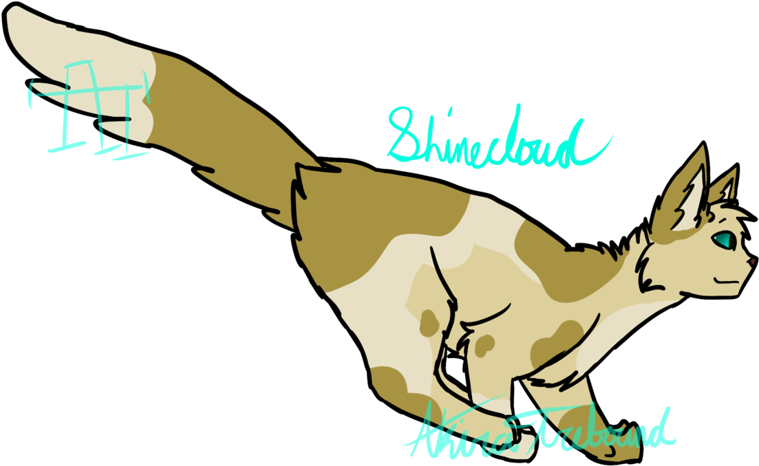 Shinecloud-warrior Cats By Akiratrebound - Drawing (1119x714)