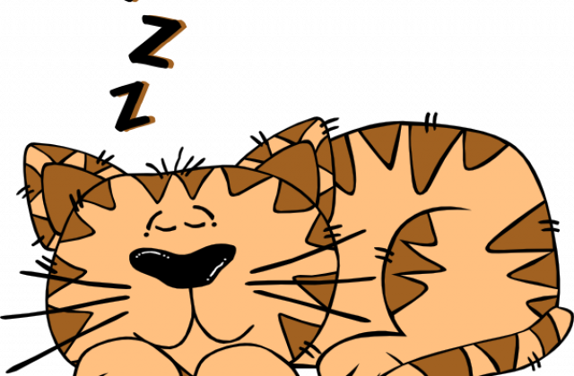 Zoom - Zoom (640x420)
