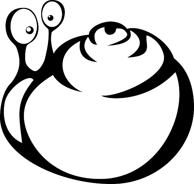 Draw, Crab, Snail, Insect, Shell, Hermit, Slug - Краб Вектор Пнг (640x608)