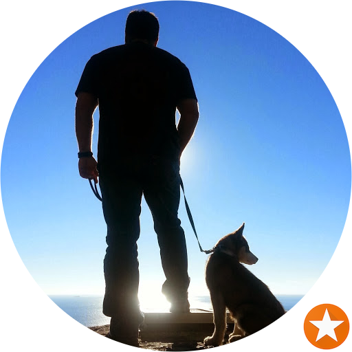Police Dog (512x512)