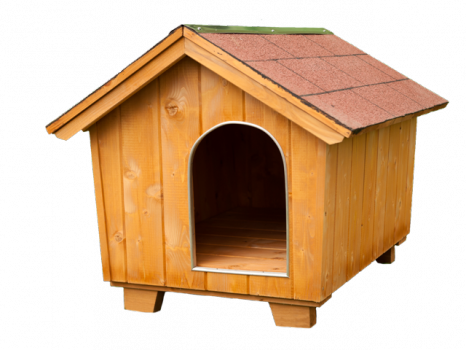 House (466x350)