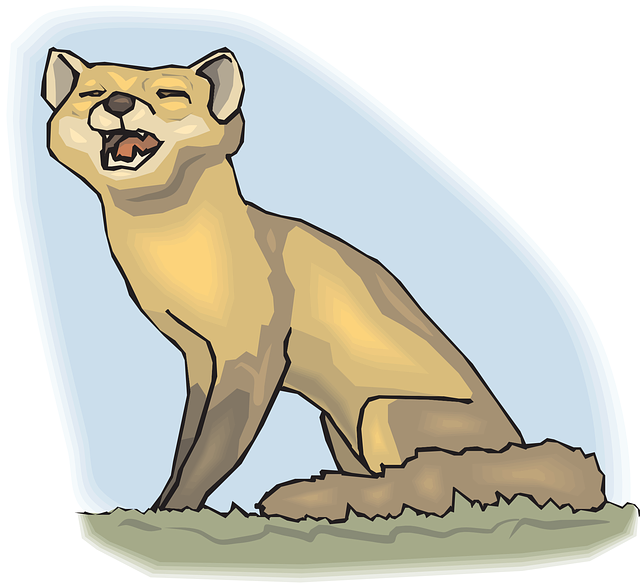 Sky, Grass, Fox, Tail, Fur, Howling - Vulpini (640x587)