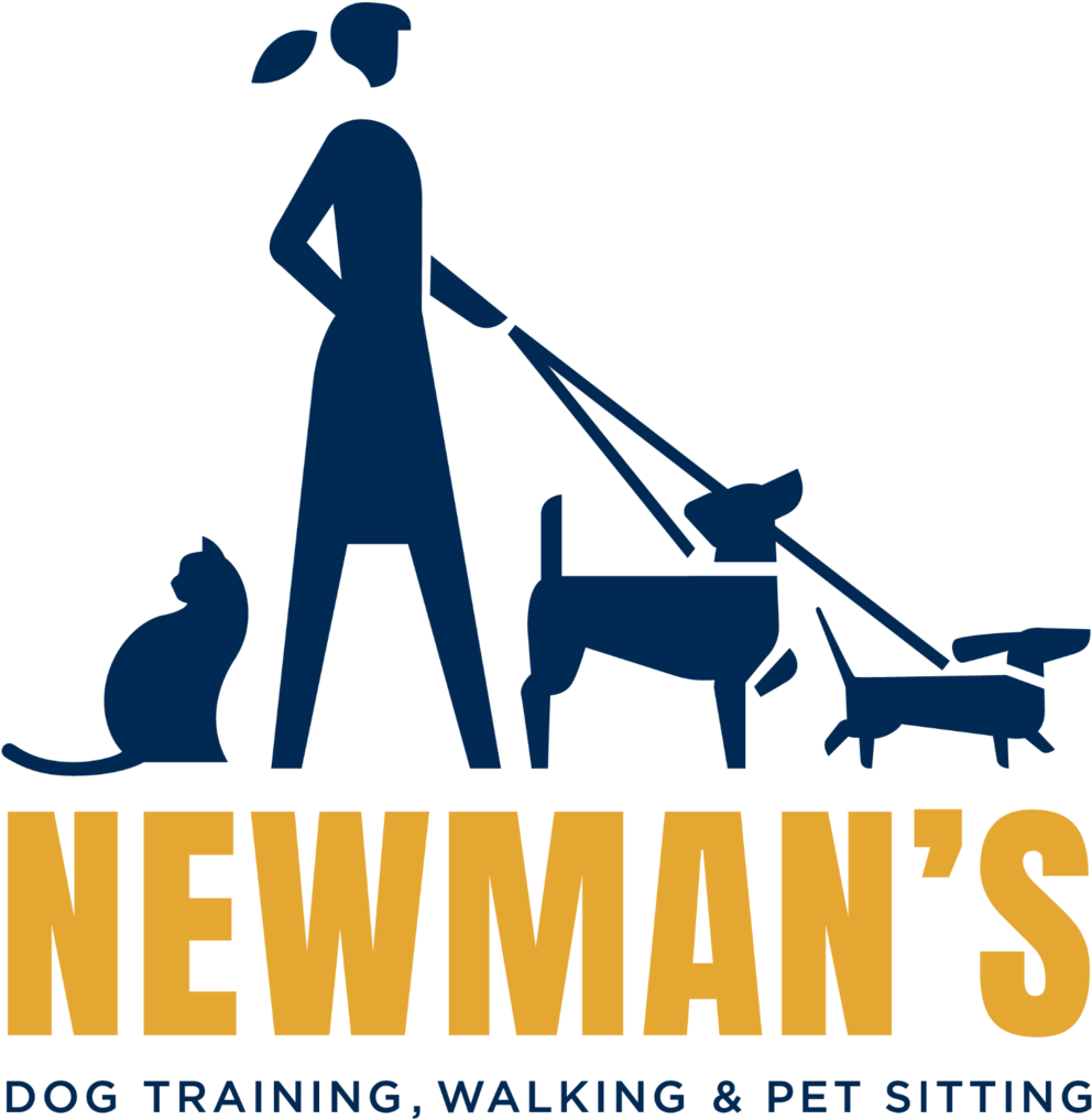  Dog Training (1000x1026)