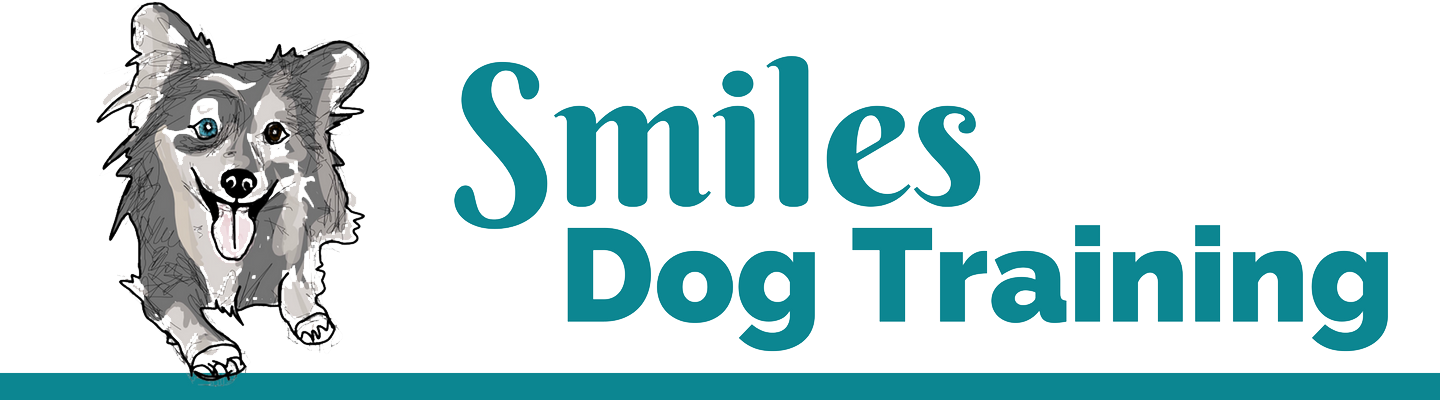 Daycare & Boarding - Jpeg (1440x400)