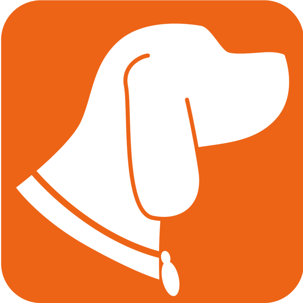 Dog Walking - Dog Walking (1080x1080)