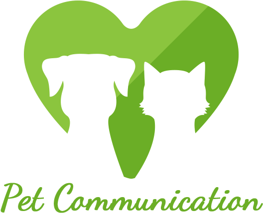 Pet Communication By Lynn & Hamish - Cupcake (800x600)