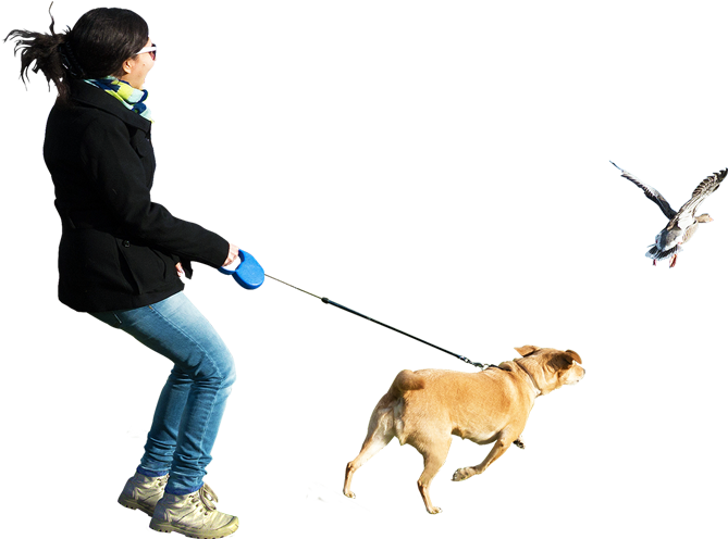   Dog Walking (680x533)