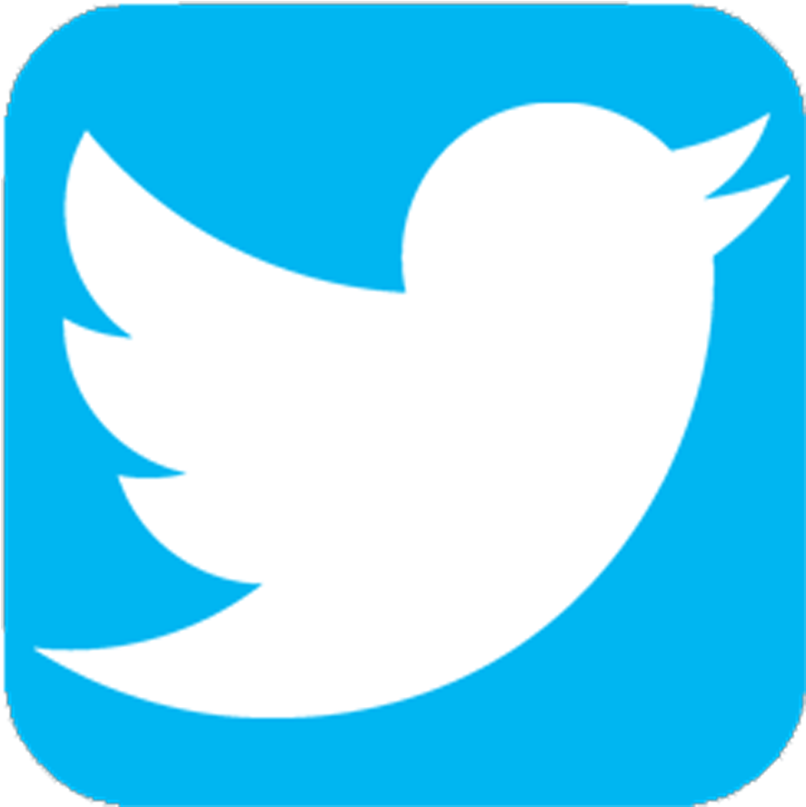 Twitter Icon Transparent Png (1000x1000)