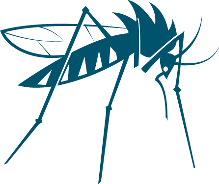 Insect Transparent Mosquito (446x375)